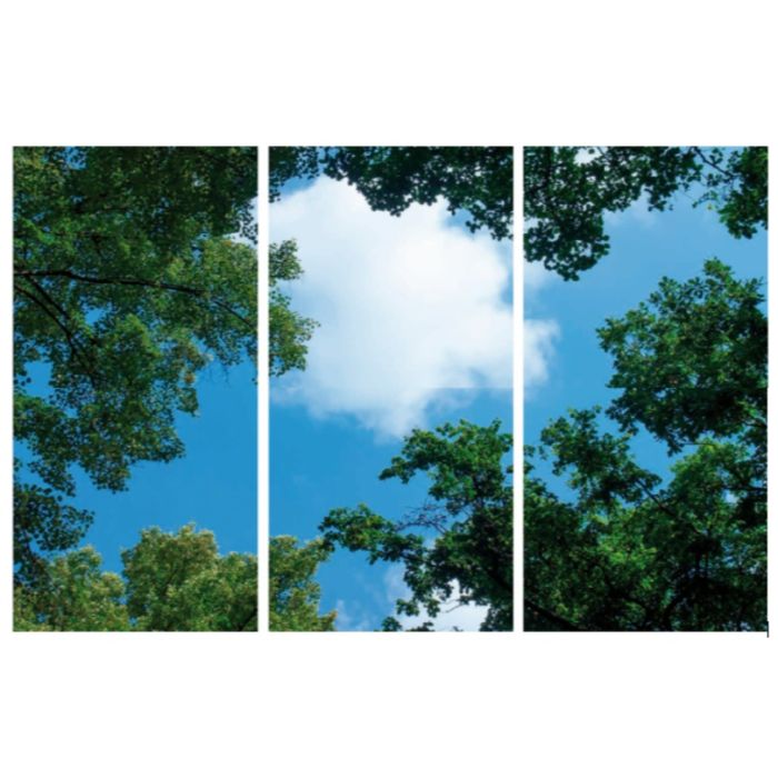 Fotoprint wolk met bos - set van 3 acrylplaten met print, voor 120x60 cm LED panelen