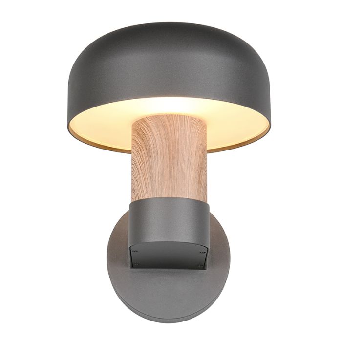 Grijze buitenlamp modern, Krishna, IP54