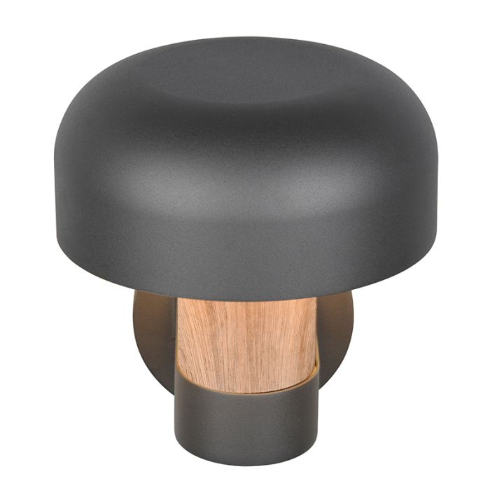 Grijze buitenlamp modern, Krishna, IP54