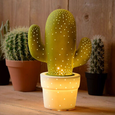 Sustainable Lampgiant