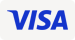 Logo Visa