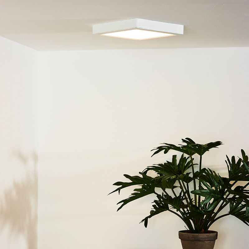 Plafondverlichting met geïntegreerd LED